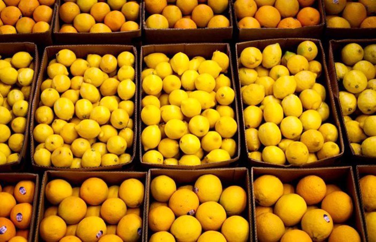 Narenciye ihracatını limon sırtladı 
