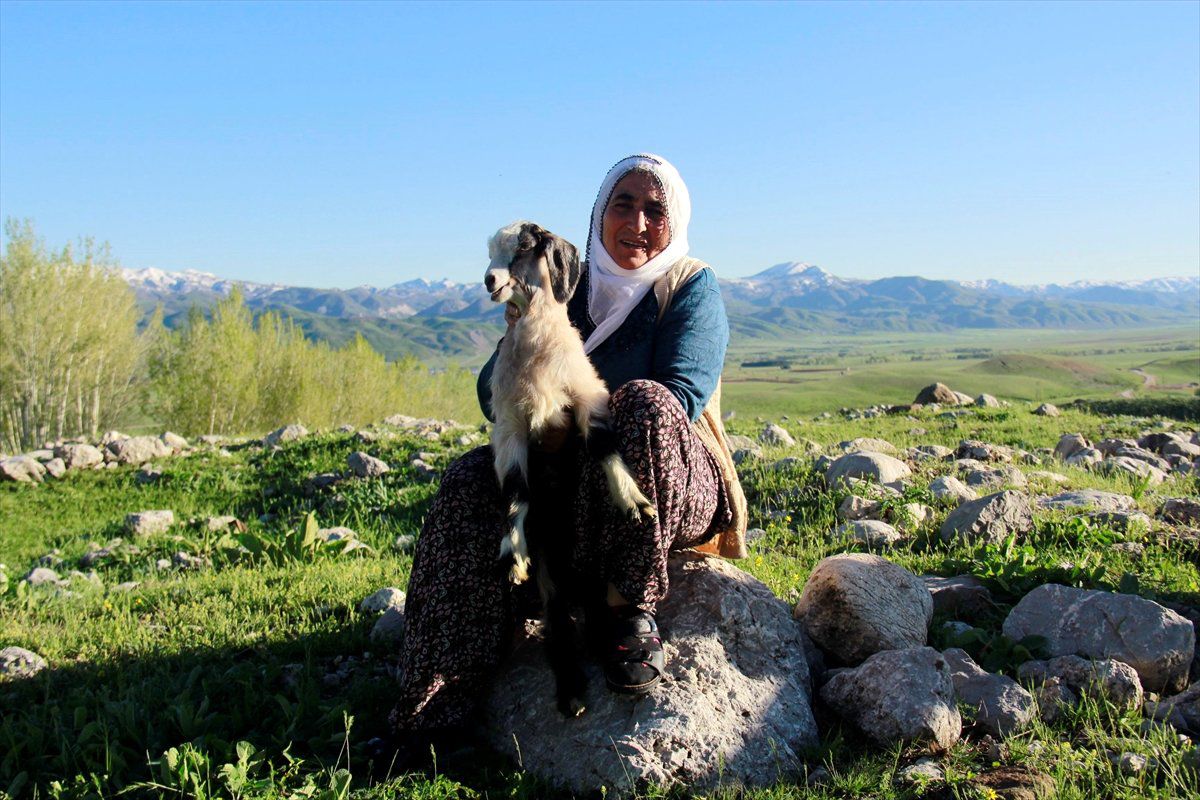 Ovacık\'ta Oğlaklar Merayla Buluştu