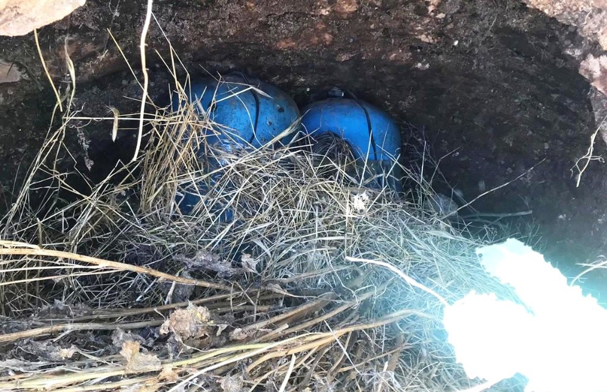 Suriye Sınırında 70 Kilo Patlayıcı Ele Geçirildi