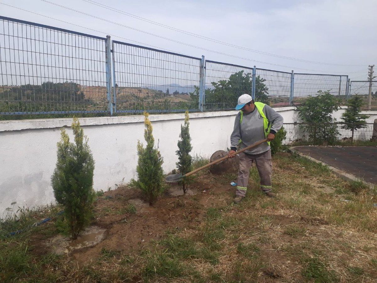 Turgutlu\'nun Dört Bir Yanı Yeşilleniyor