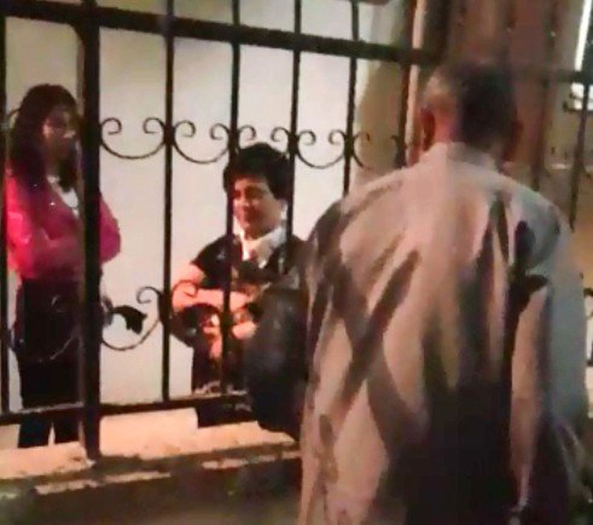Ağaçta Mahsur Kalan Kedinin İmdadına İtfaiye Yetişti