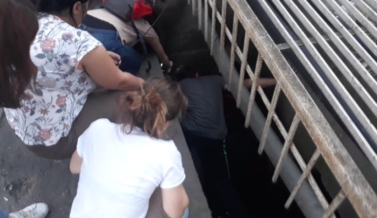 Drenaj Kanalına Düşen Yavru Kediyi Vatandaşlar Kurtardı