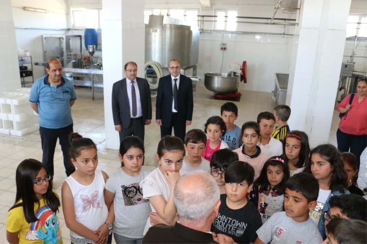 Erzincan\'da Dünya Süt Günü Kutlandı