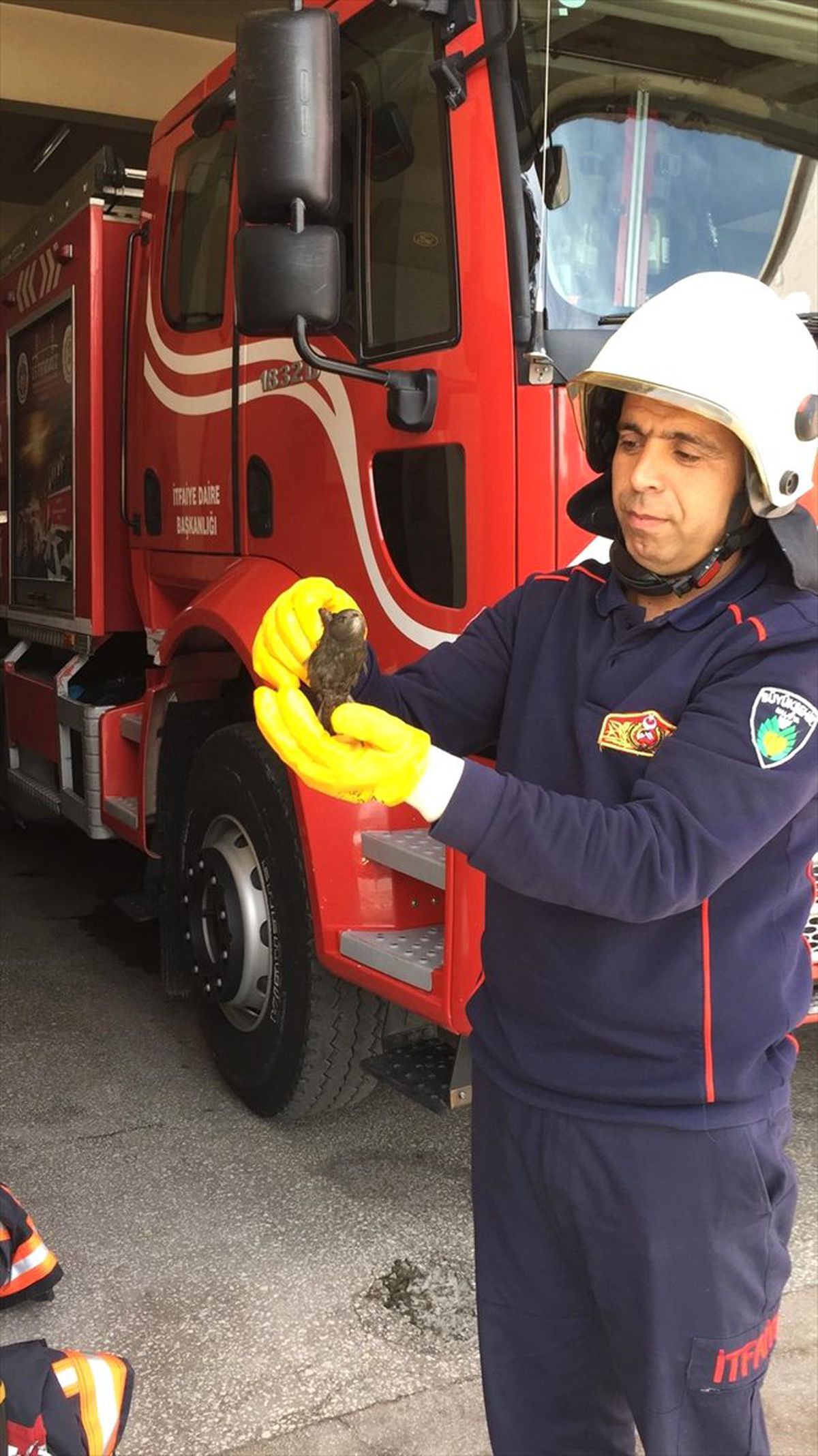 Havalandırma Boşluğunda Mahsur Kalan Ebabil Kuşu Kurtarıldı