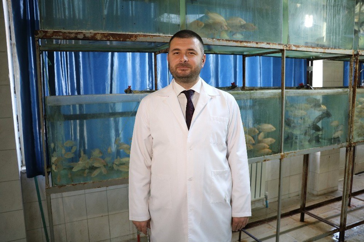 Kur\'an-ı Kerim Dinletilen Balıklar Daha Hızlı Büyüyor