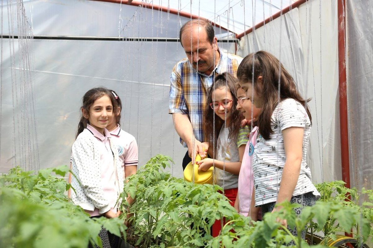 Öğrenciler, Okullarındaki Seralarda Çiftçi Oldu