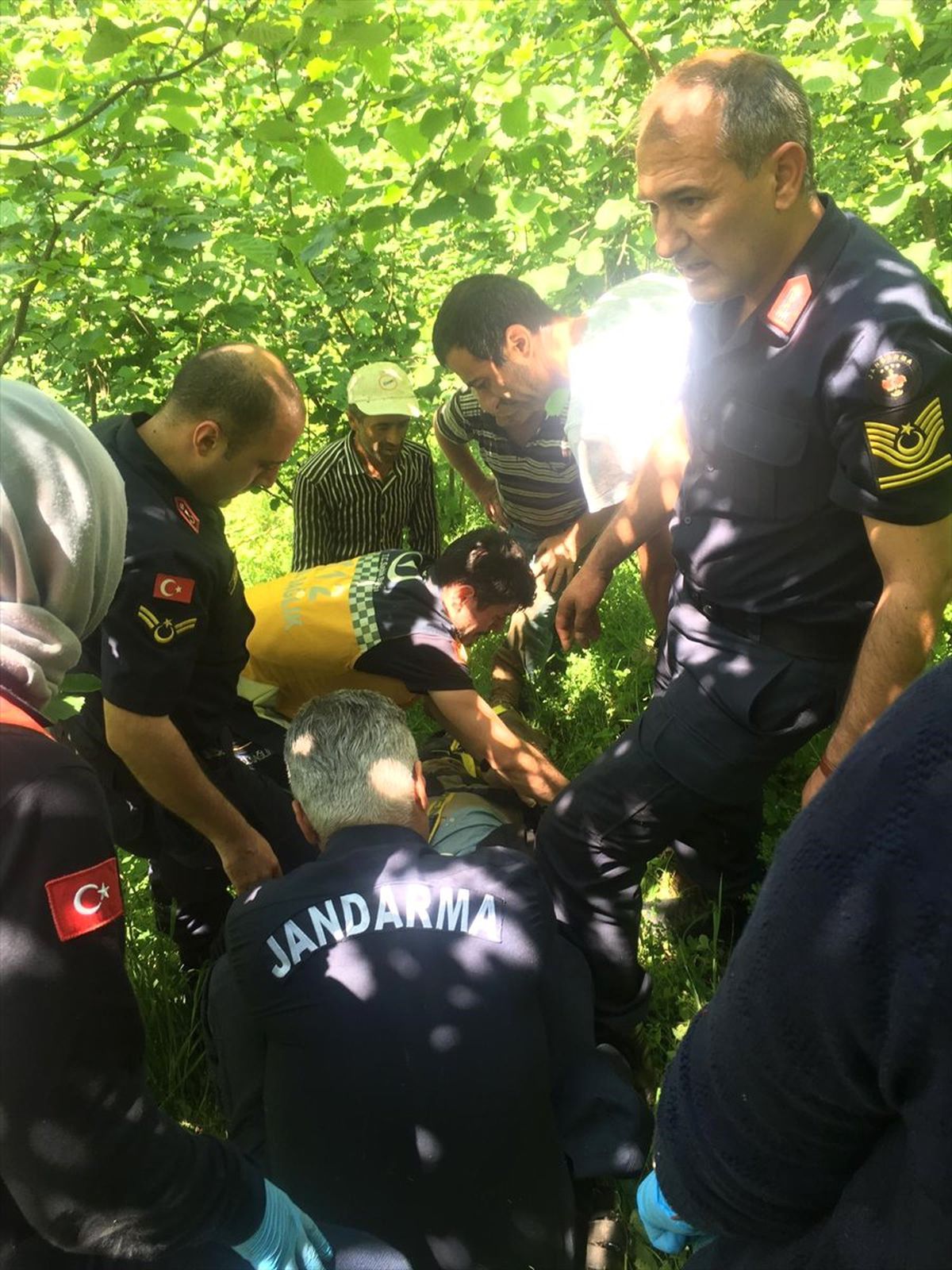 Ordu\'da Kaybolan Yaşlı Adam 8 Gün Sonra Sağ Bulundu