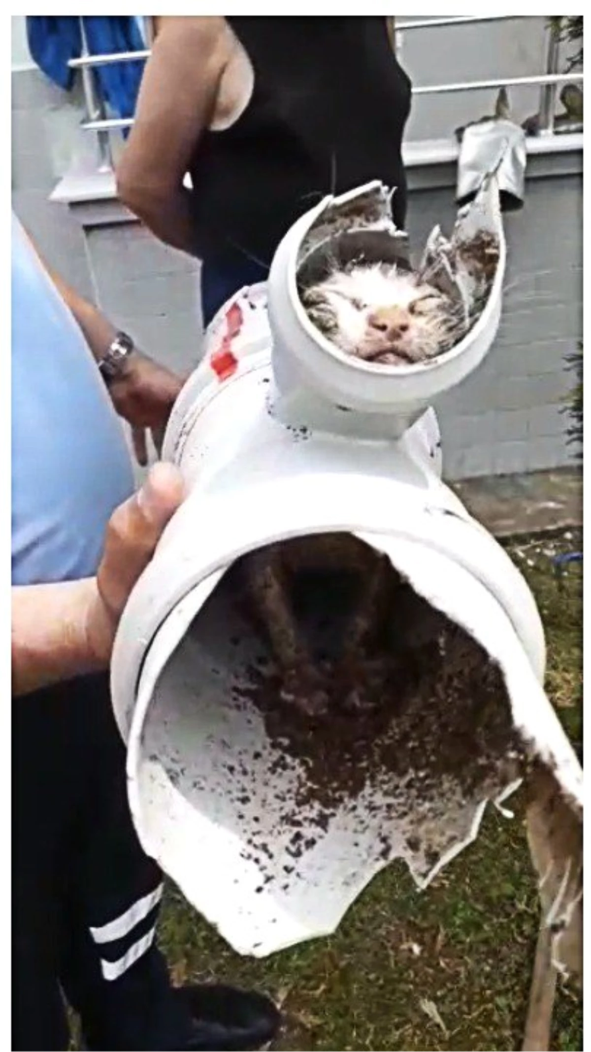 Su Borusuna Sıkışan Yavru Kedi İtfaiye Ekiplerince Kurtarıldı