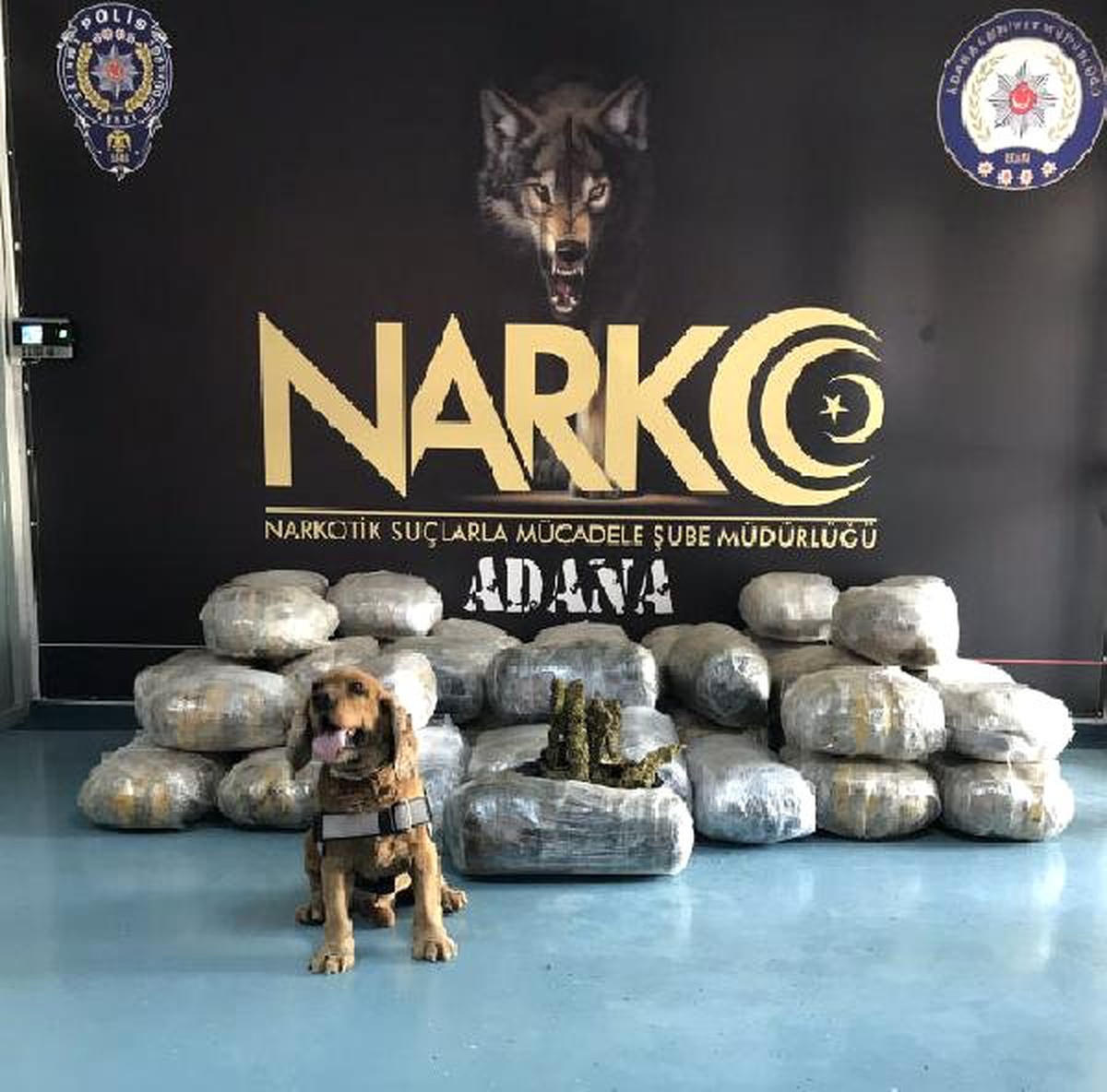 Tır\'da 250 Kilo Esrar Ele Geçirildi, Sürücü Tutuklandı