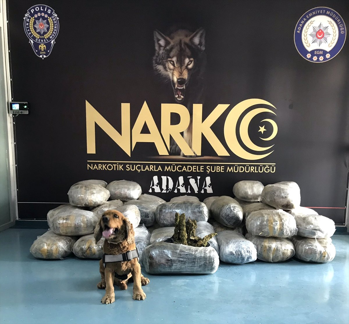 Tırda 250 Kilogram 600 Gram Esrar Ele Geçirildi