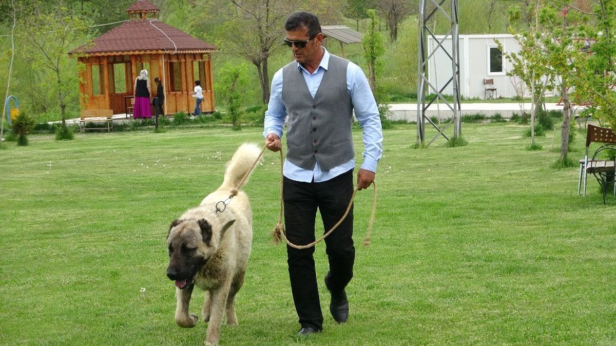 Altı Nesildir Dilleri Böyle