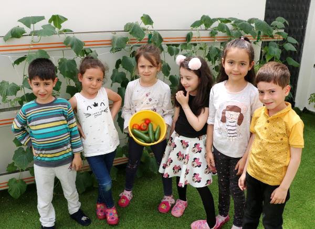 Anaokulu Öğrencileri Çatıda Yetiştirdikleri Ürünleri Yiyor