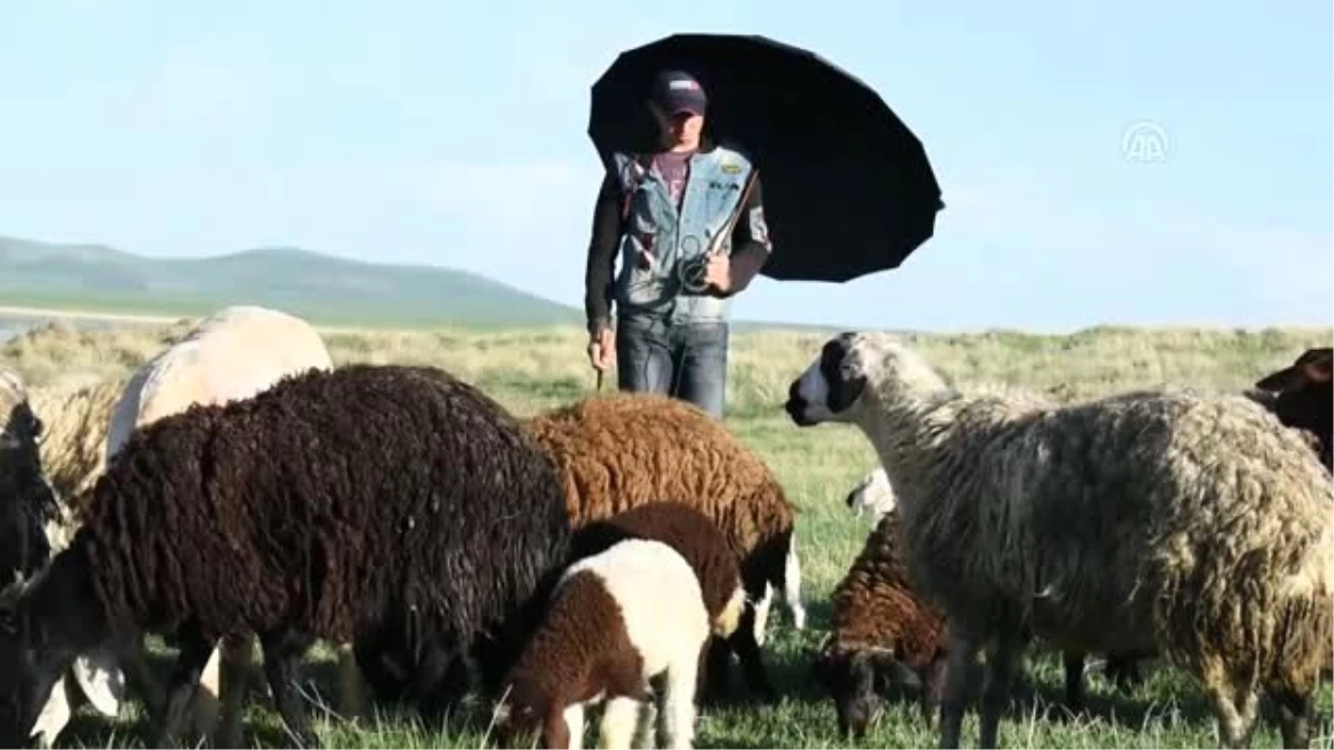 Çobanların Ramazanda Zorlu Mesaisi