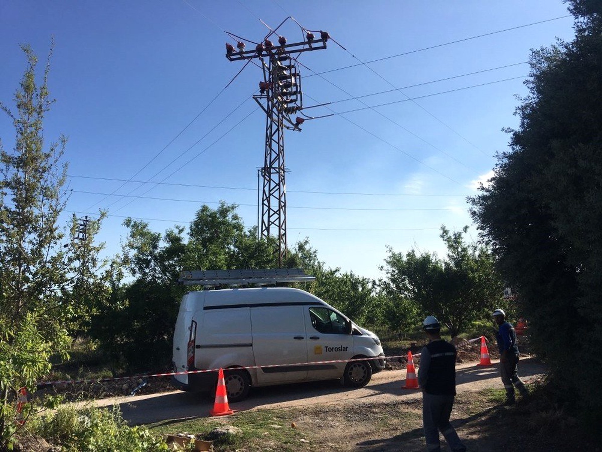 Elektrik Akımından Kuş Ölümleri Sona Eriyor