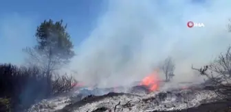 Orman Ekipleri Yangın Sezonuna Hazır