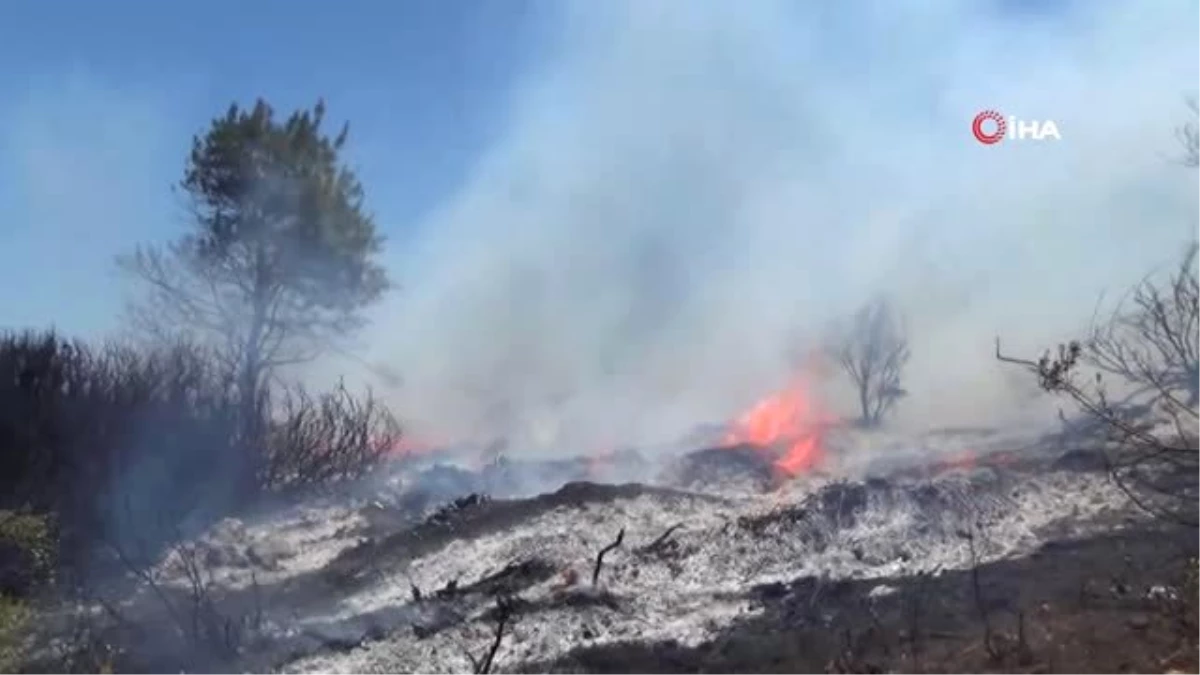 Orman Ekipleri Yangın Sezonuna Hazır