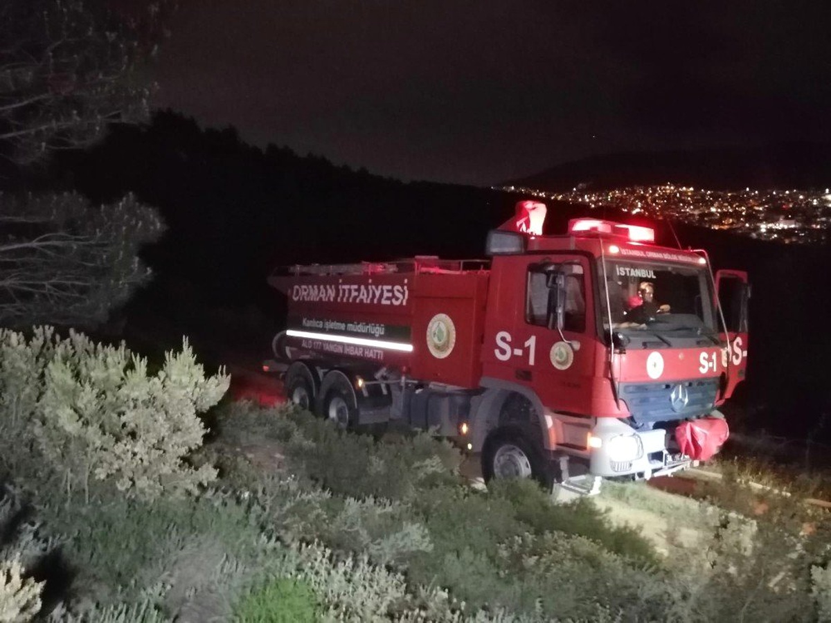 Orman İtfaiyesi Yangının Büyümesine İzin Vermedi