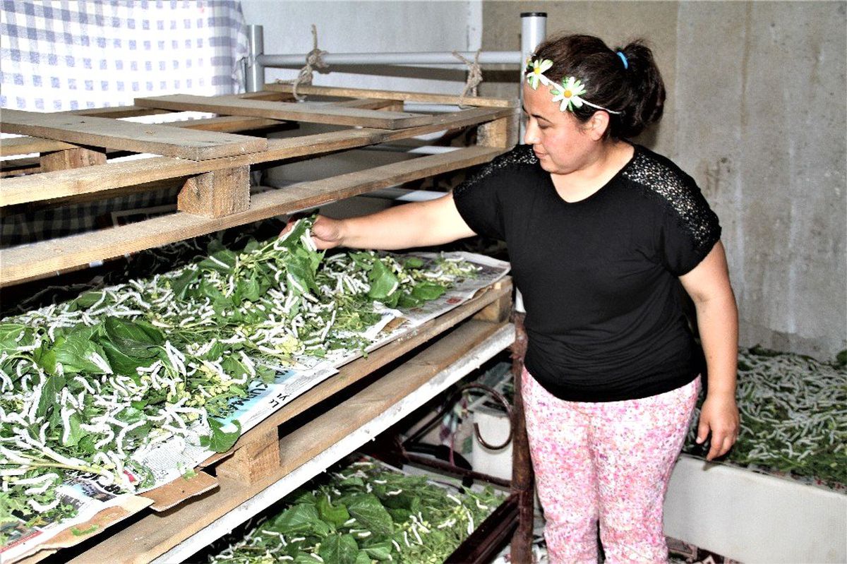 Tek başına bir geleneği sürdürüyor