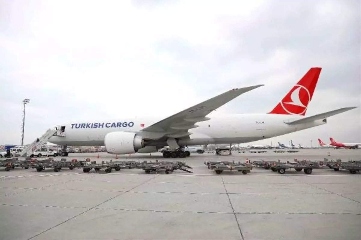 Turkish Cargo İlk Çeyrekte Büyüdü