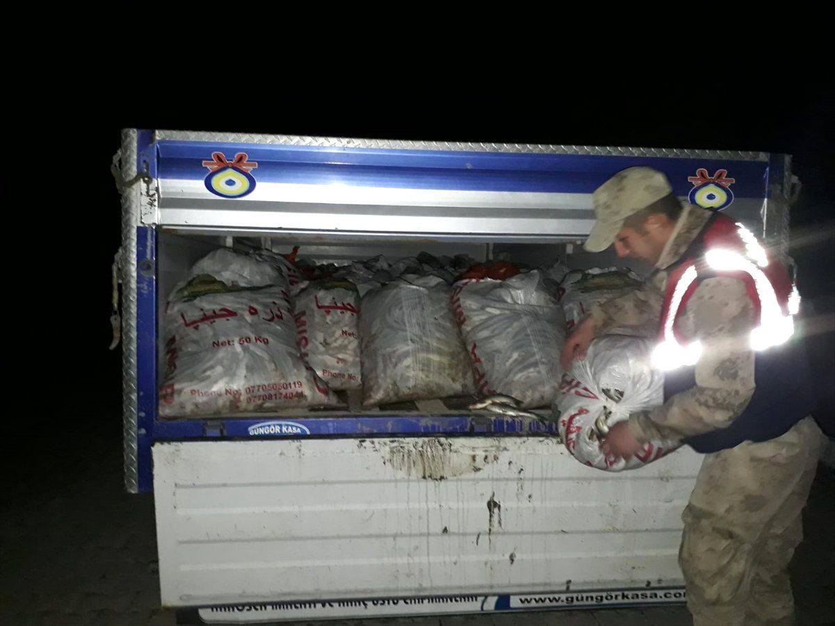 Van\'da Kaçak Avlanılan 5,5 Ton Balık Ele Geçirildi