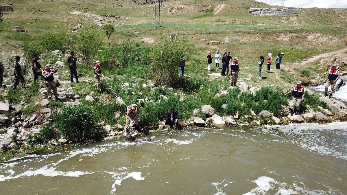 Güvenlik güçleri uçan balıklar için seferber oldu