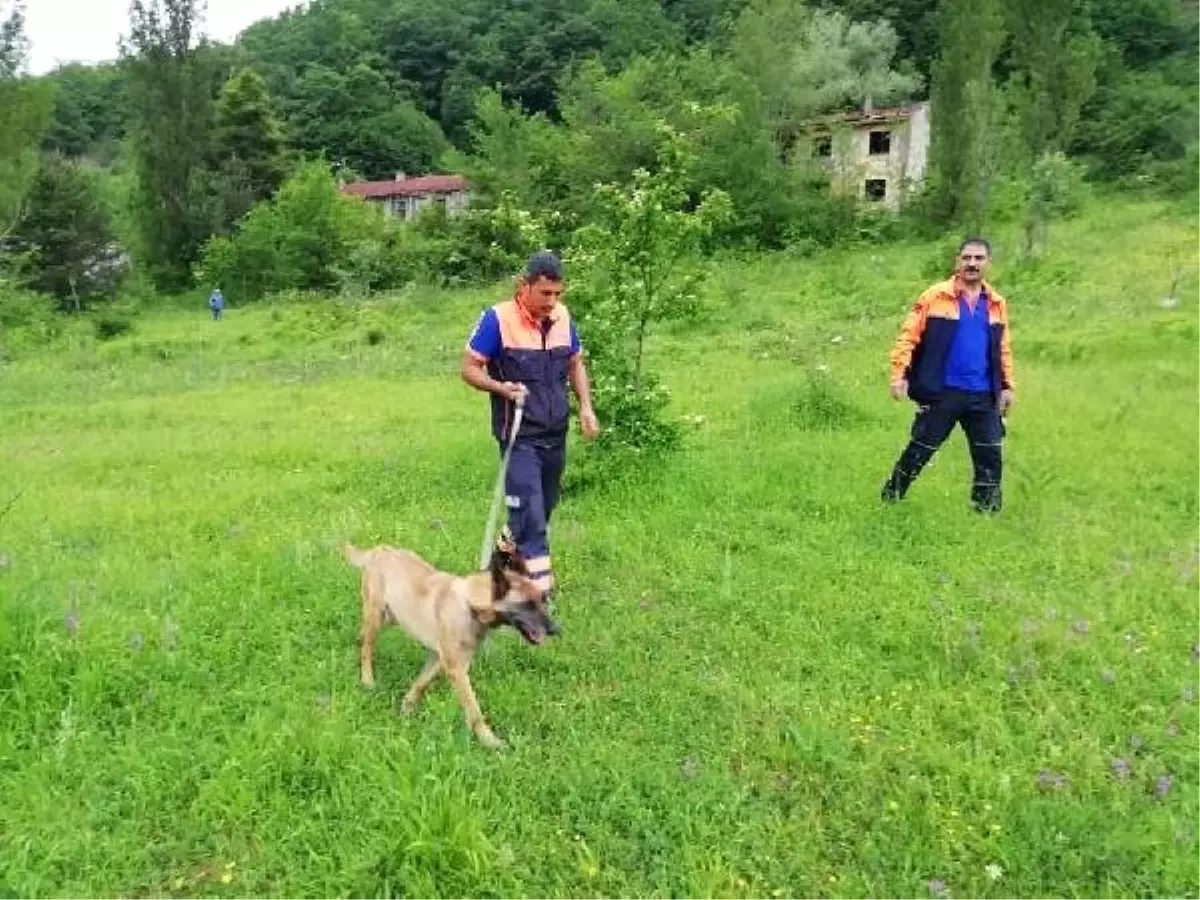 Kayıp kişiyi arama çalışmaları sürüyor