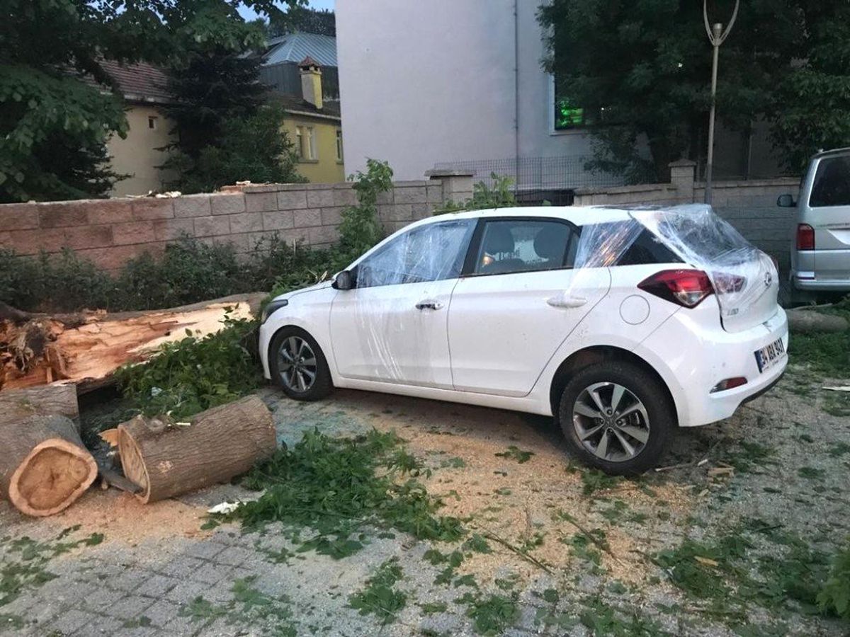 (Özel) Cami bahçesindeki aracın üzerine ağaç devrildi