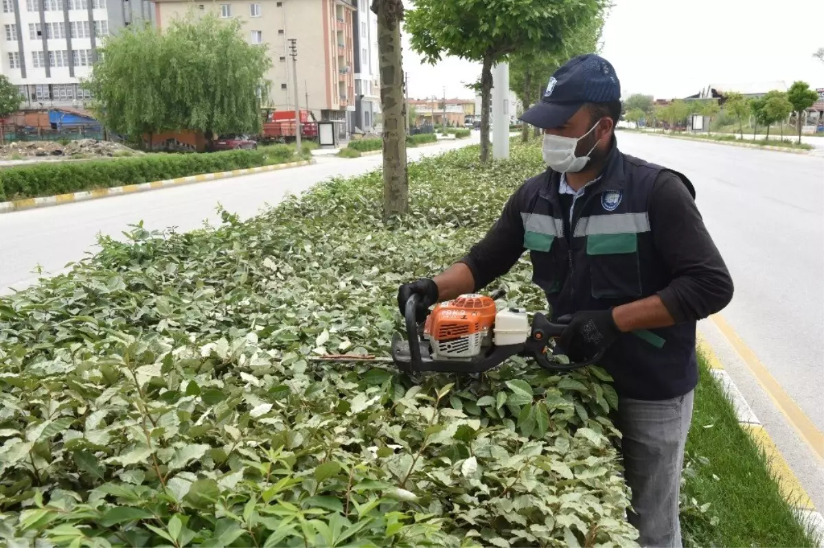 Park ve bahçelerde hummalı çalışma