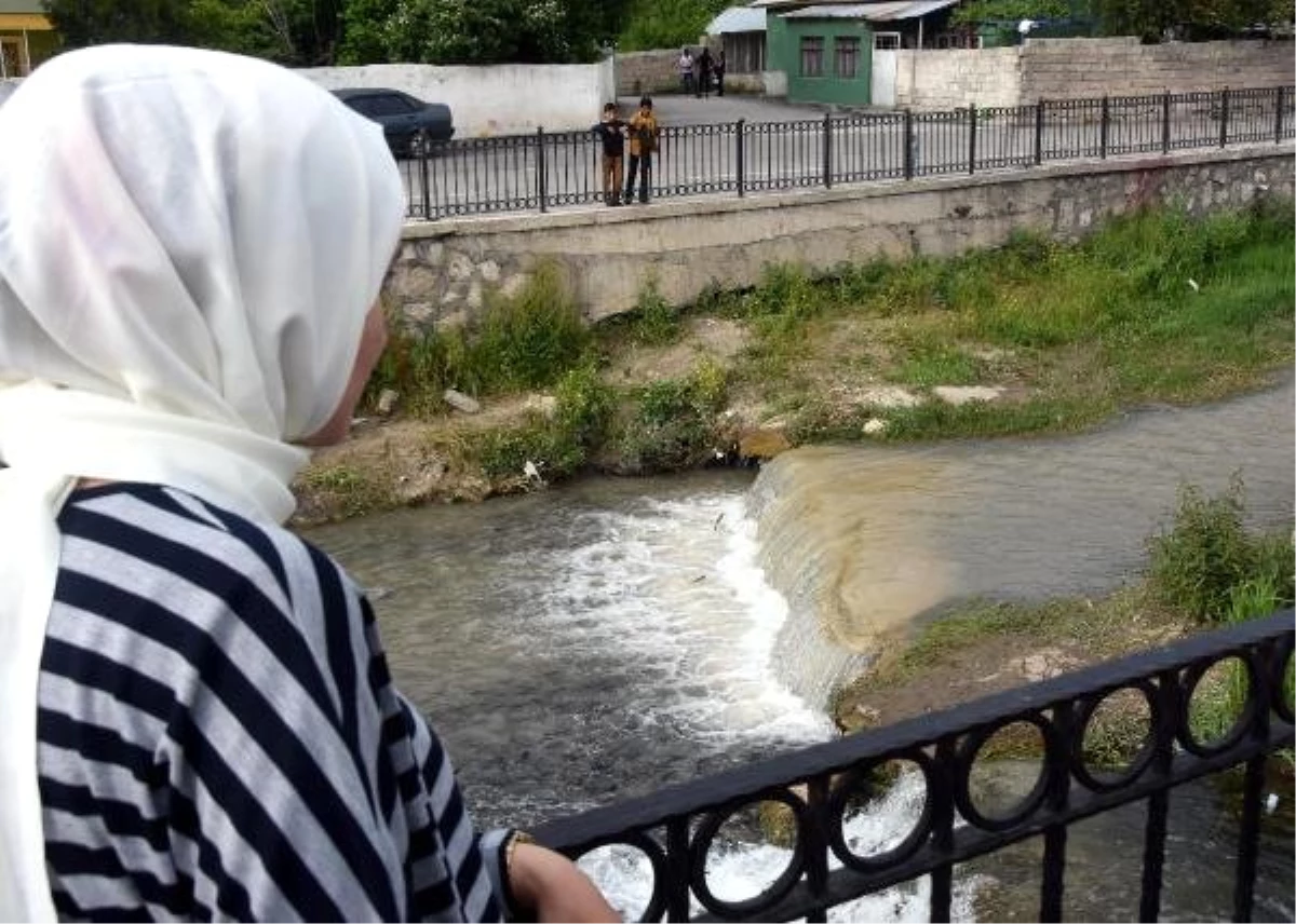 Şehir merkezinden geçen derede inci kefalinin göçünü izlediler