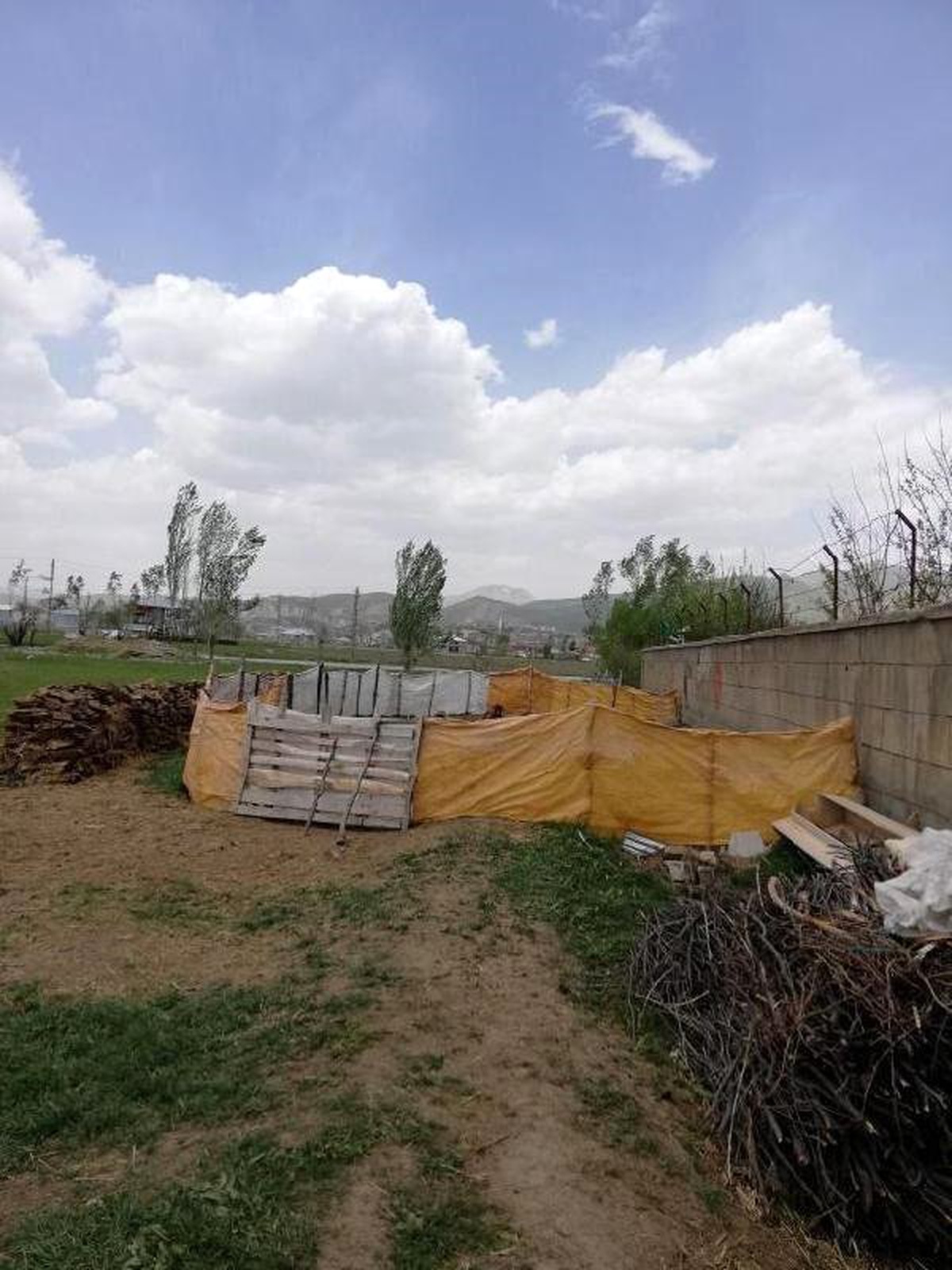 Ağıla giren köpekler 18 küçükbaş hayvanı telef etti