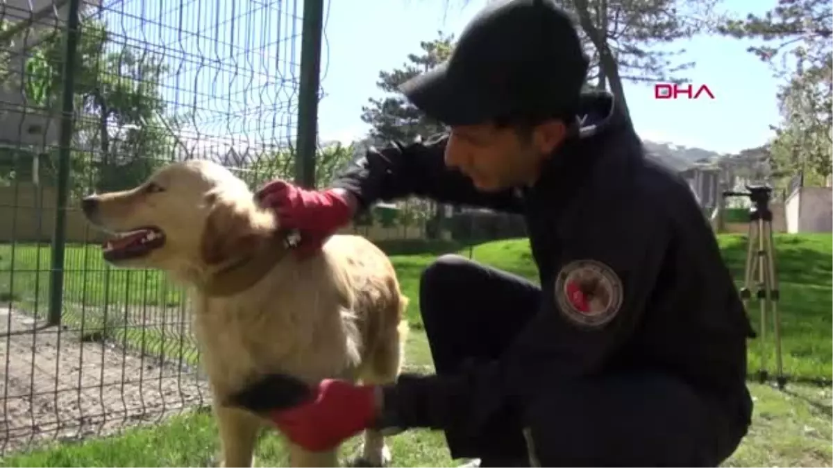 Hakkari Valisi Akbıyık\'ın hayvan sevgisi