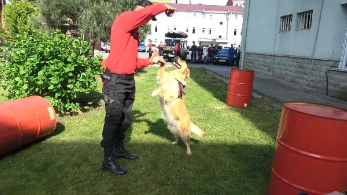 JAK timinin dedektör köpekleri iş başında