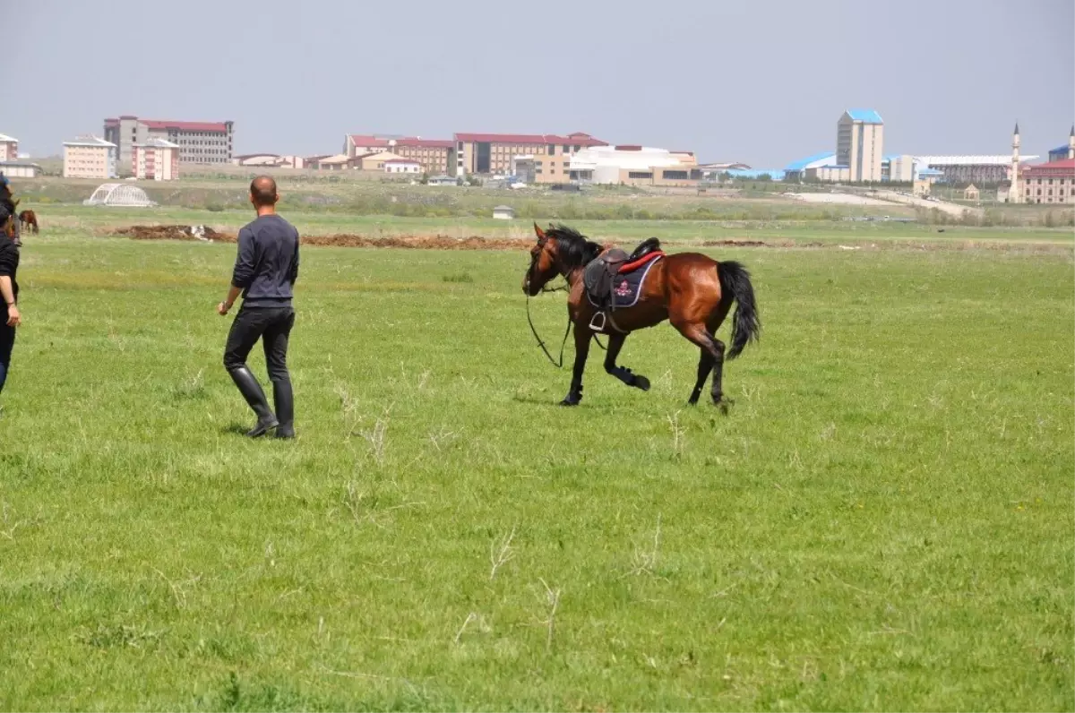 Kars\'ta, at yarışları yapıldı