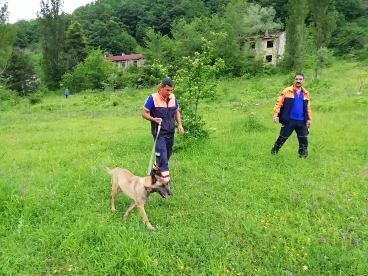 Kayıp şahıs K9 köpeğiyle aranıyor