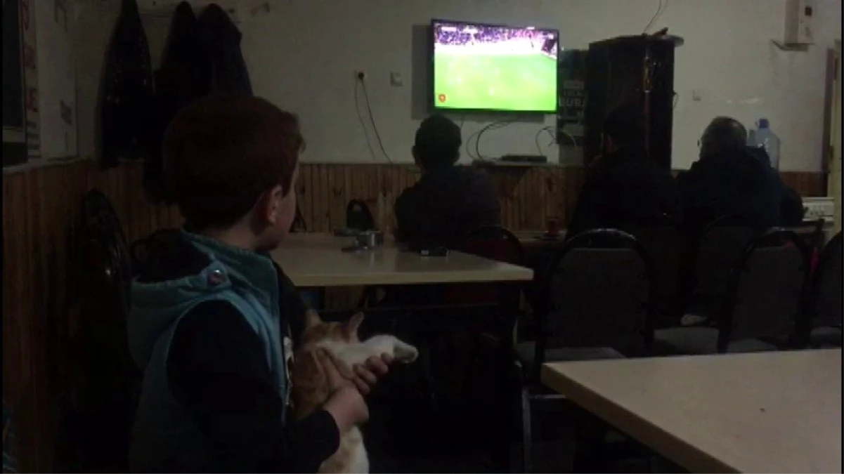 Küçük çocuk ve arkadaşı kedi her maçı birlikte izliyor