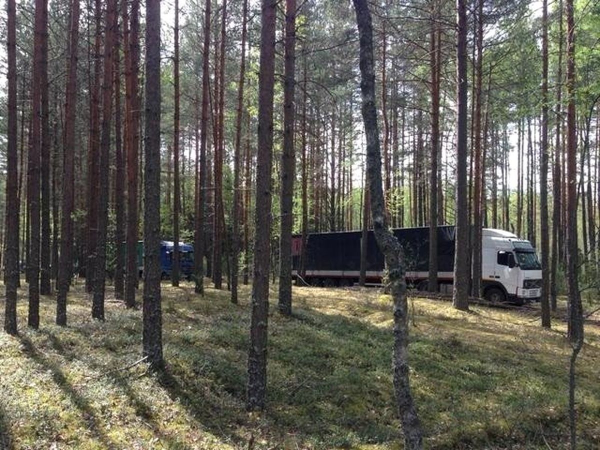 Rusya\'da 100 bin ton Türk ve Polonya elması için operasyon yapıldı