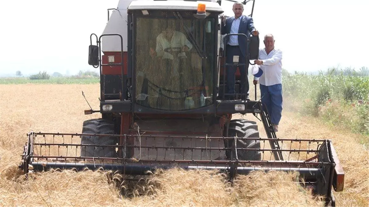 Sağlam "Stratejik ürün, buğdaydan vazgeçilmemeli"