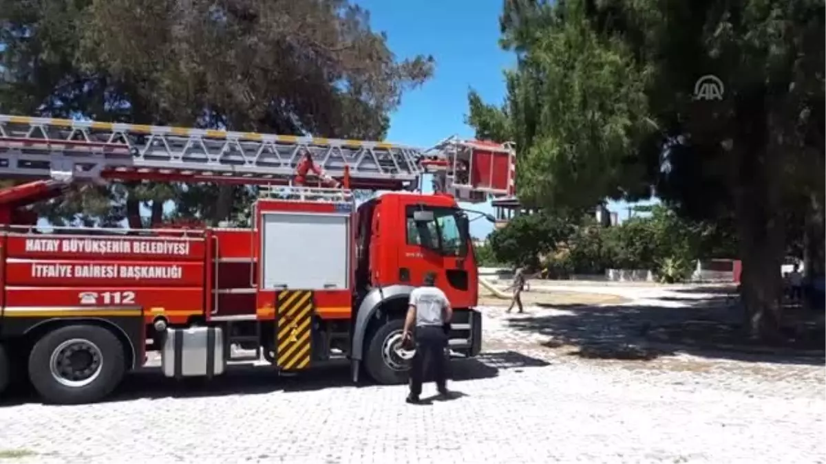 Yuvasından düşen kartal yavrusunu itfaiye ekipleri kurtardı