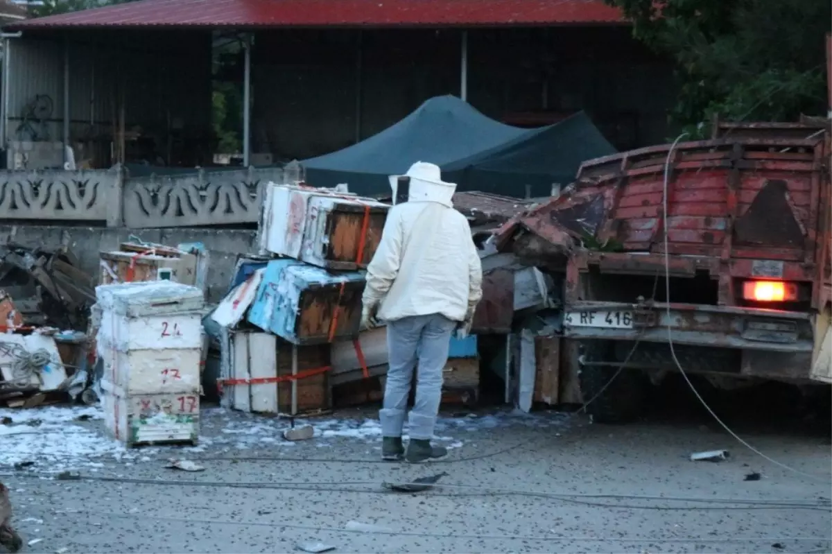 Ekipler kaza sonucu yıkılan şebekeyi yenilemek için arılarla mücadele etti