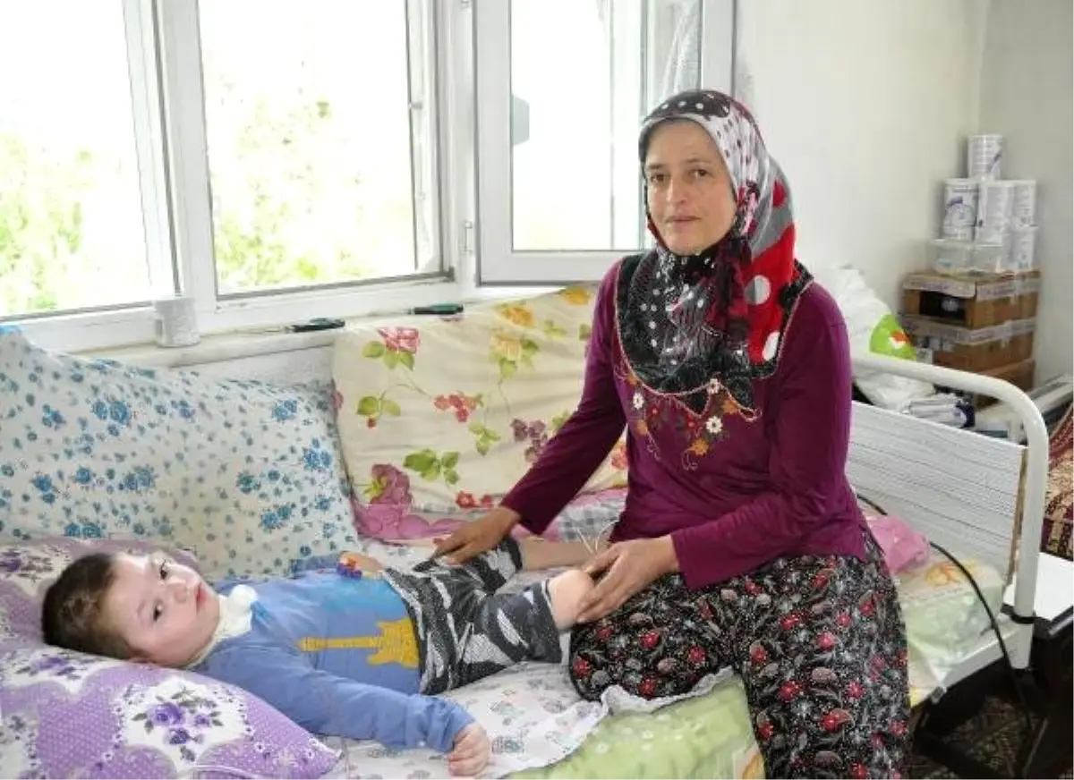Yatağa bağımlı minik Hasan, fizik tedaviden yoksun kaldı