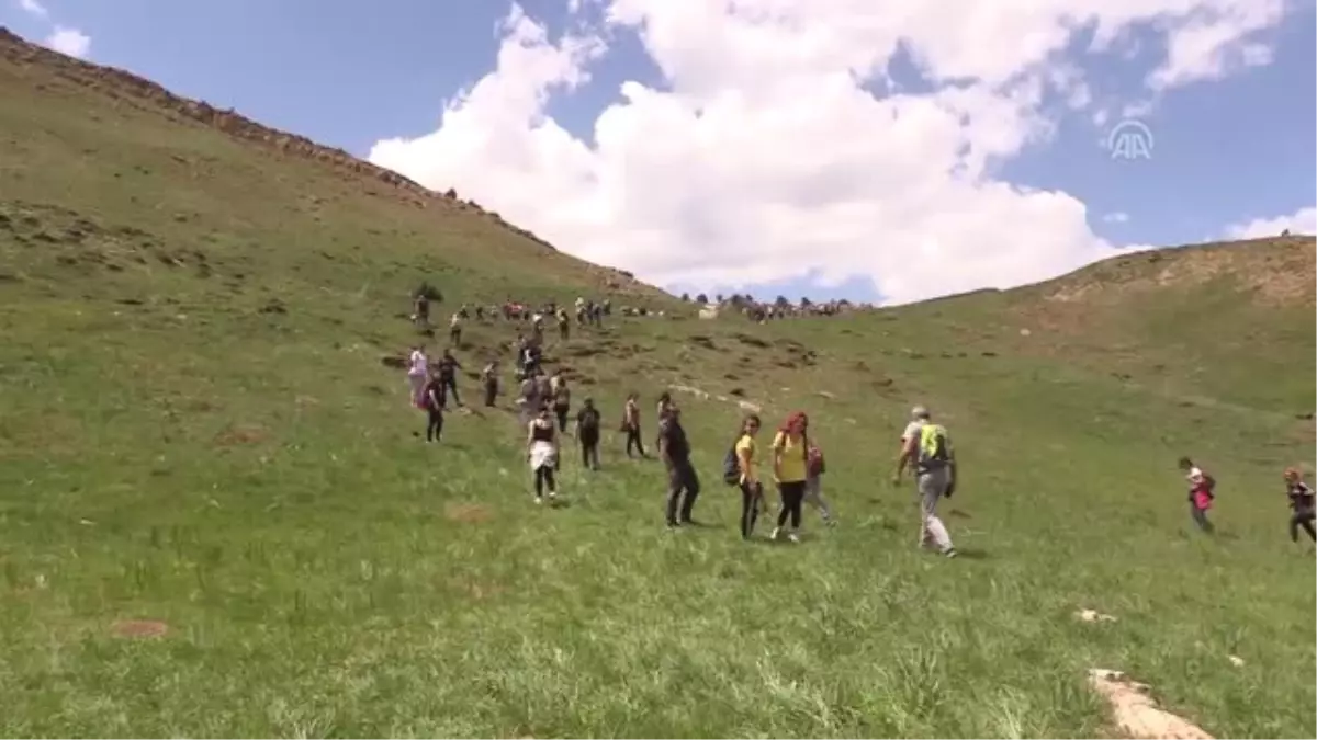 Dağların süsü ters laleler görenleri büyülüyor - TUNCELİ