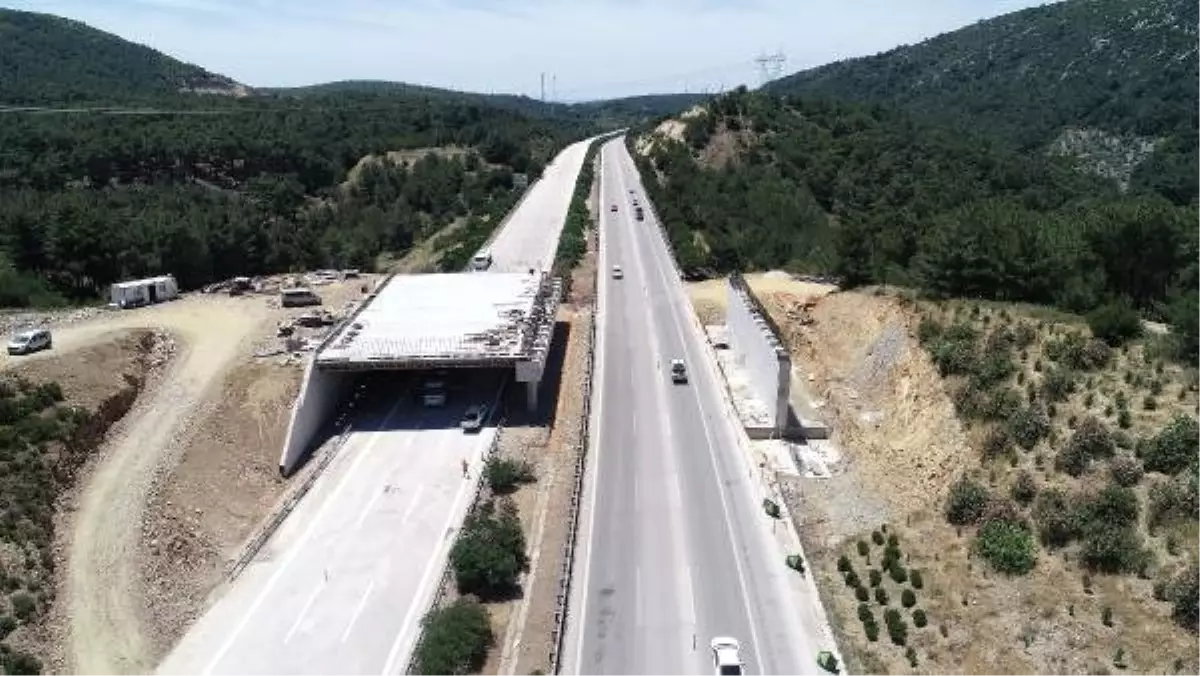 Ekolojik köprülerin yapımına başlandı