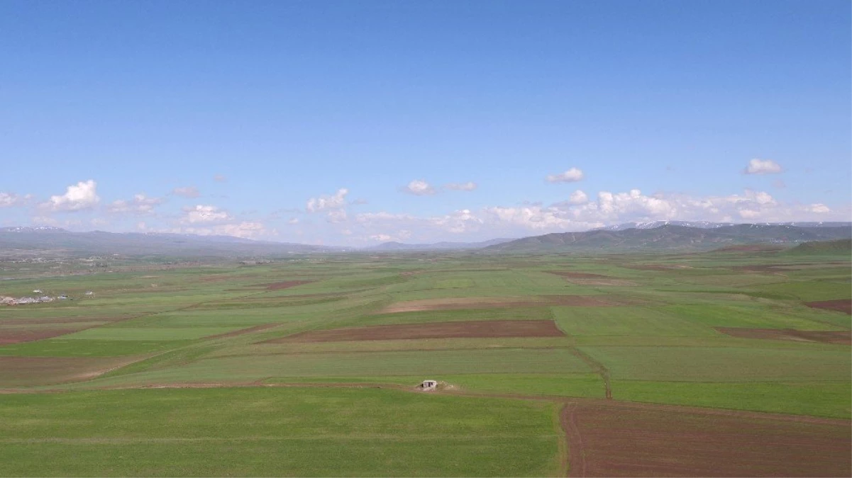 Erzincan\'da 176 bin hektar alanın tamamı 2021\'e kadar toplulaştırılacak