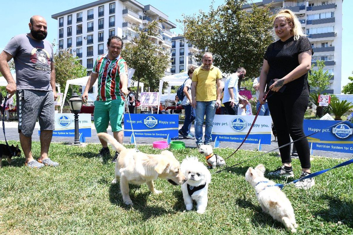 Hayvanseverler patili dostlarıyla buluştu