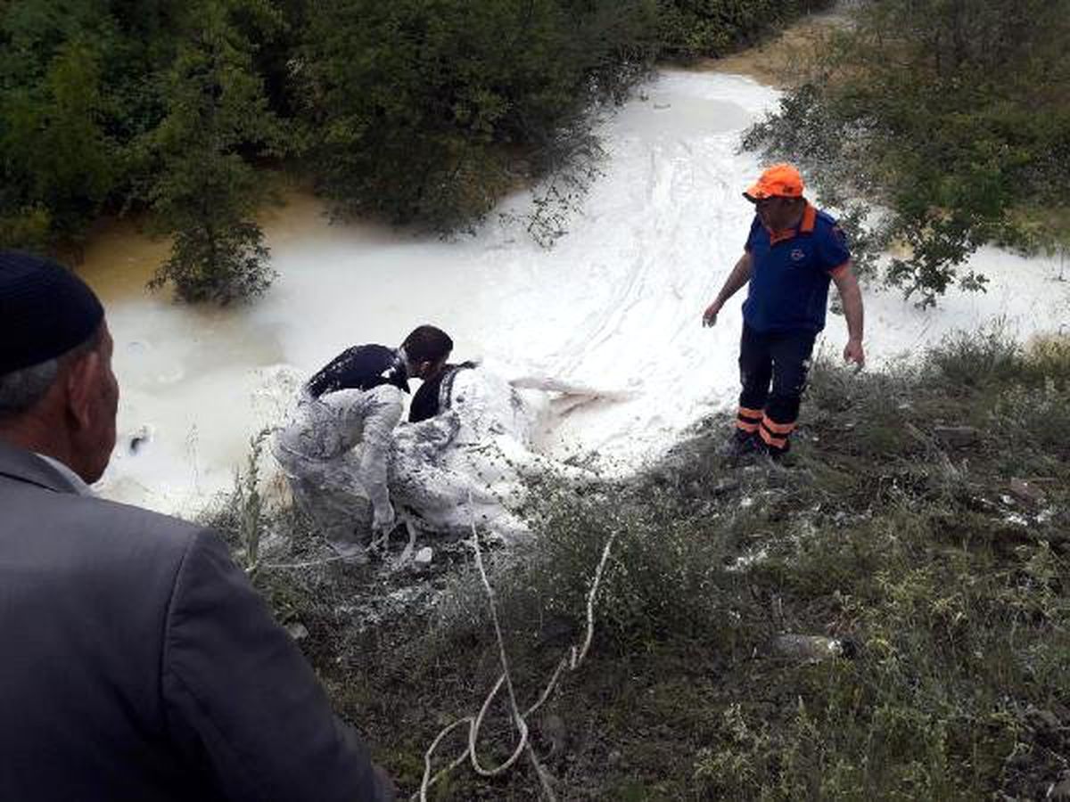 İneğiyle kireç kuyusunda mahsur kaldı