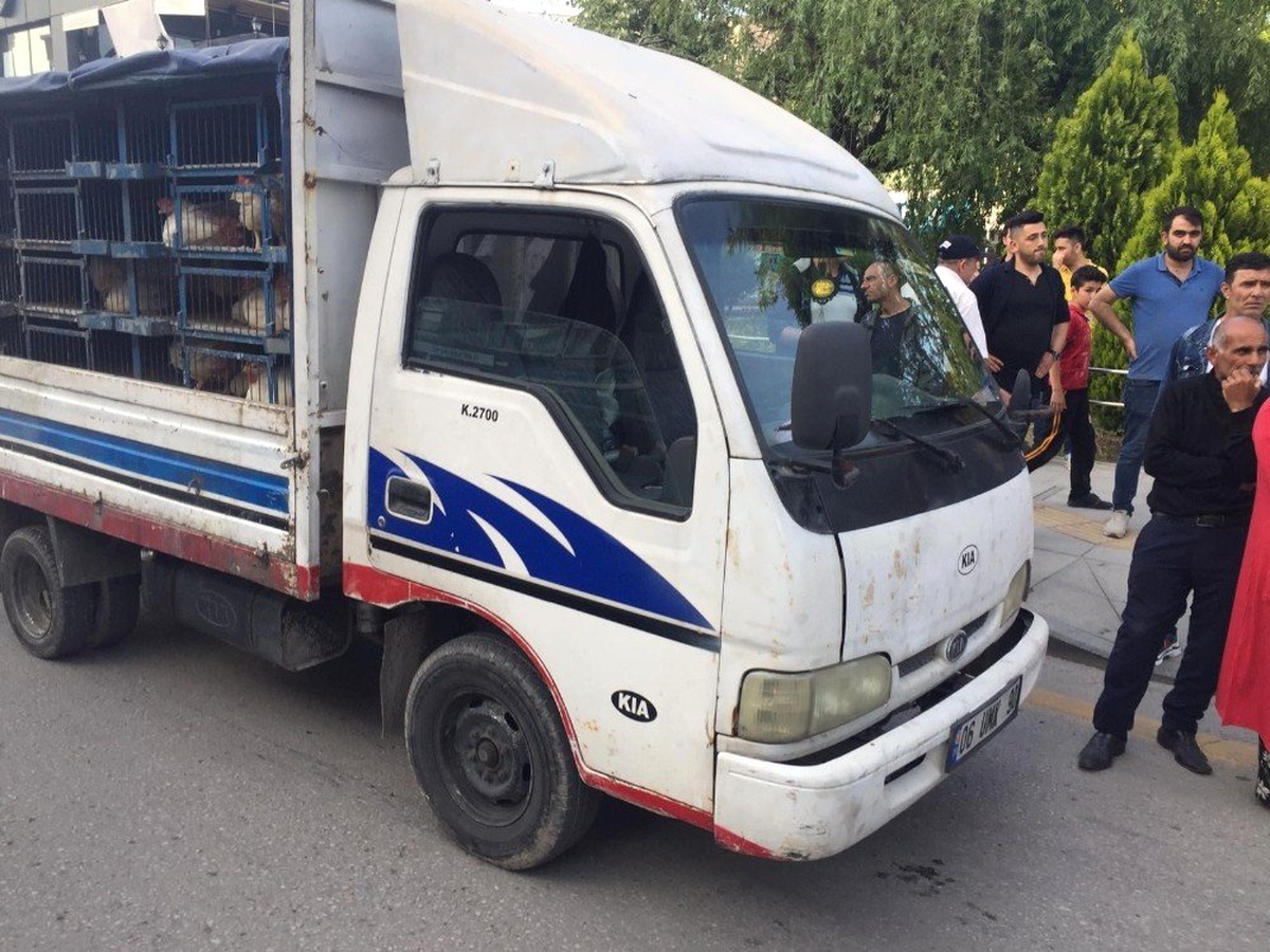 Kamyonetin çarptığı yaya yaralandı