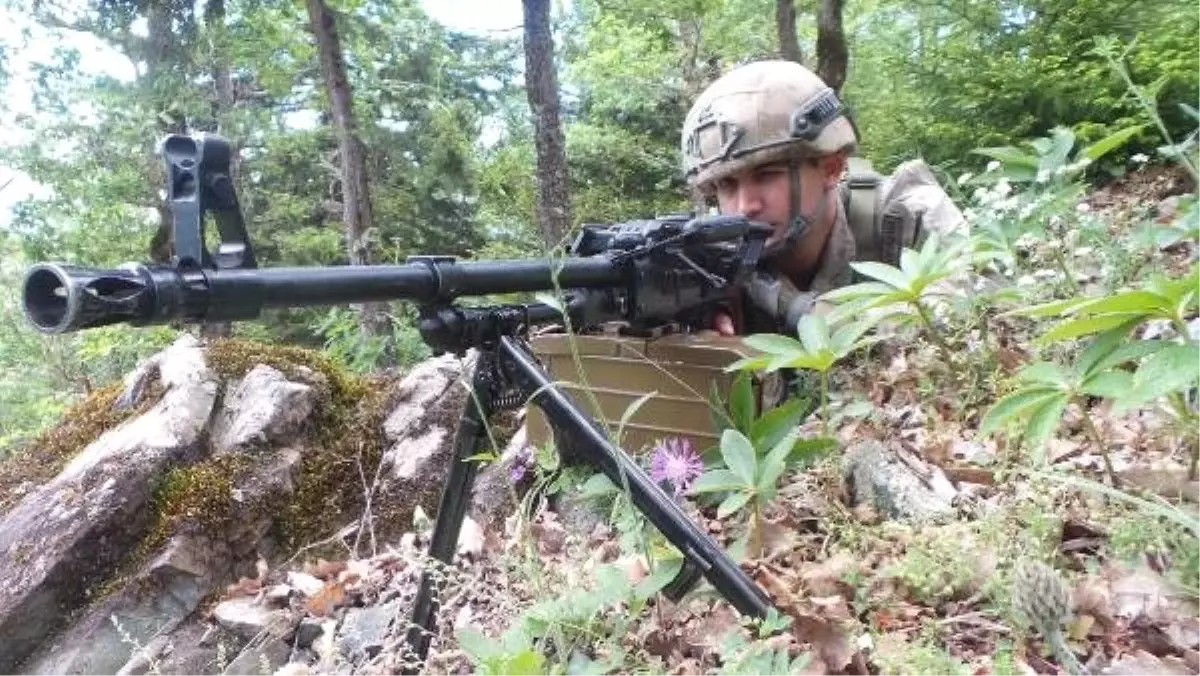 Karadeniz\'de, JÖH ve komandoların PKK operasyonu sürüyor