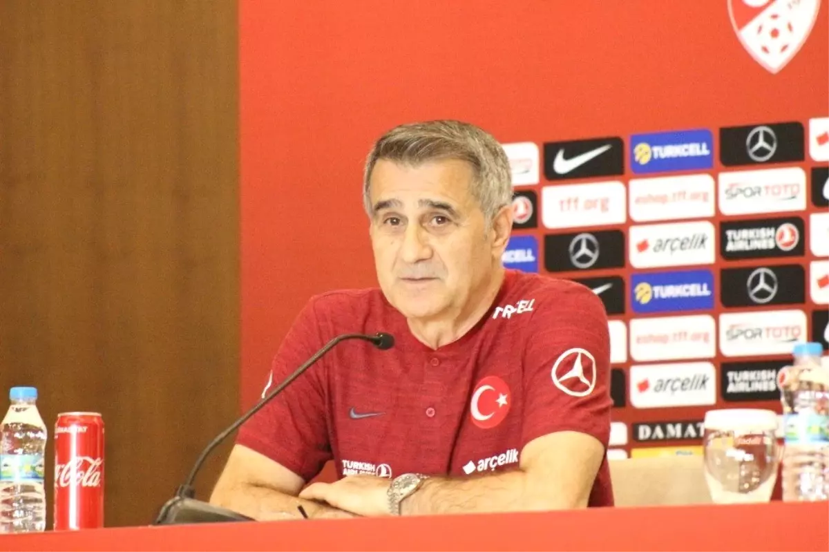 Şenol Güneş: "10 seneye damga vuracağımızı düşünüyorum"