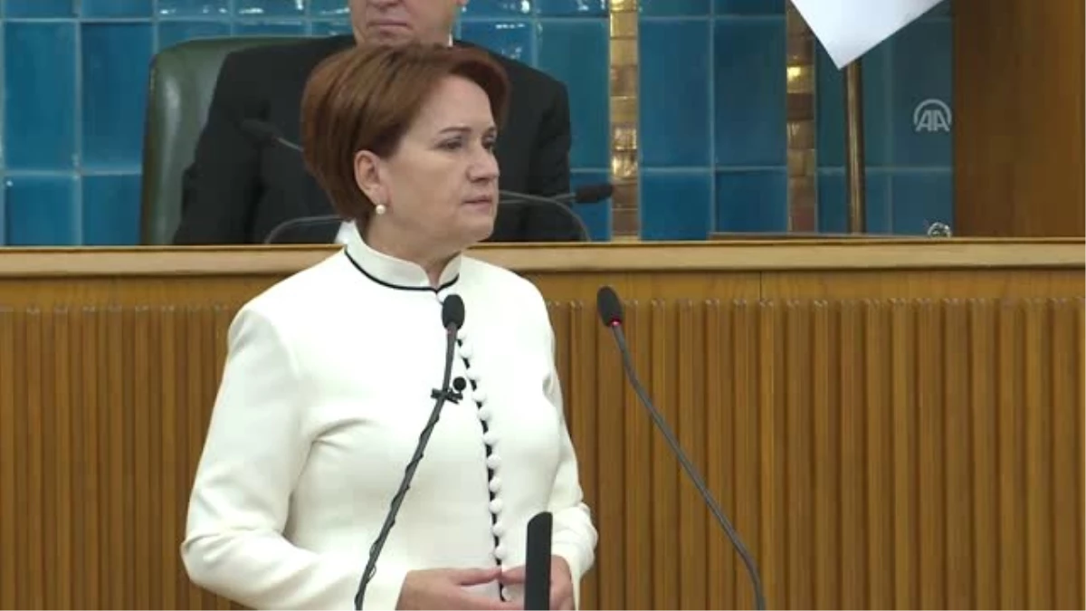 Akşener: "Ekonomik kalkınma için yabancı dil öğrenmeye mecburuz"