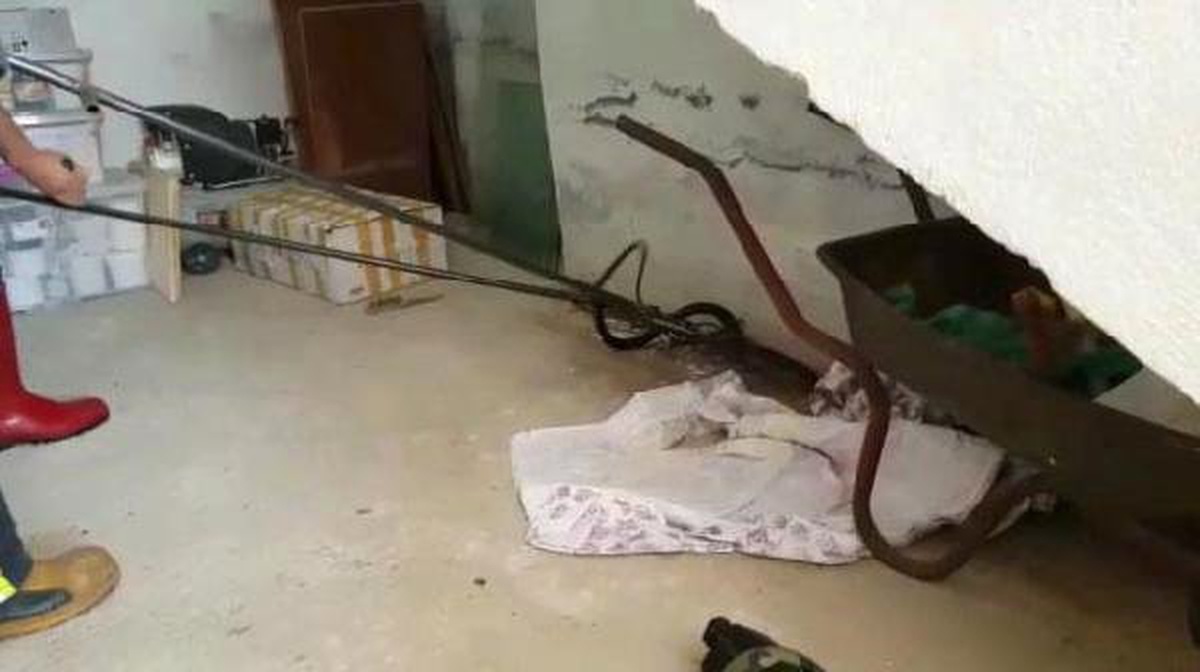 Depoya giren yılanı itfaiye yakaladı
